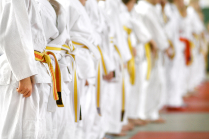 Martial Art Studio Insurance in Petersburg, WV by Mid-Atlantic Group Insurance